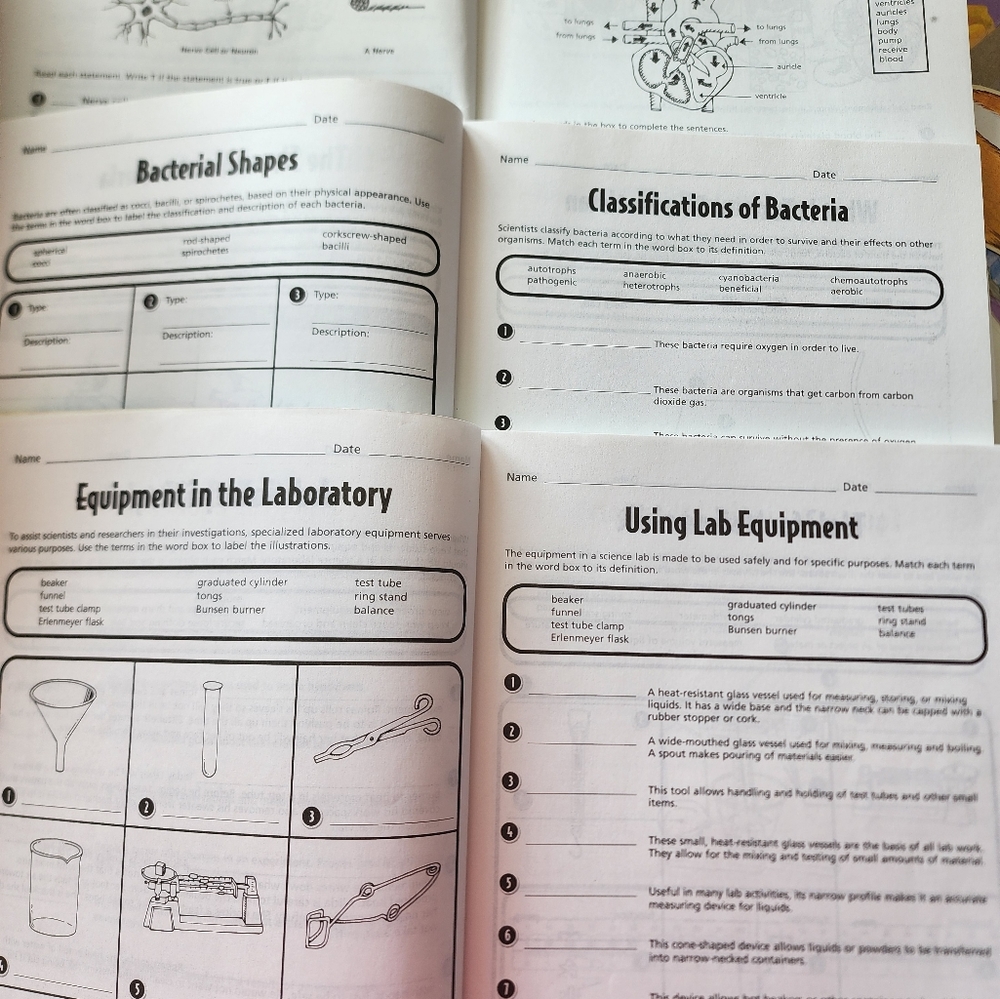 Kids Science workbook - Picture 3 of 3